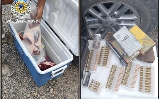 Le descubrieron un guanaco despostado y armas en la caja de la camioneta