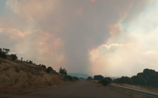 Continúa el incendio del Parque Nacional Los Alerces: «Estamos trabajando para circunscribirlo y después controlarlo»