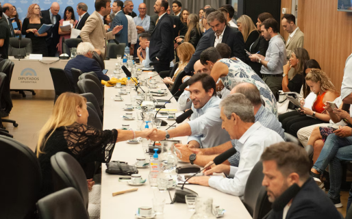 Suspensión de las PASO: el Gobierno ya piensa en los votos para el recinto y define la estrategia en el Senado