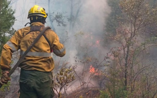 Identificaron a los autores del incendio en El Bolsón: hay más de 100 casas destruidas y declararon la emergencia