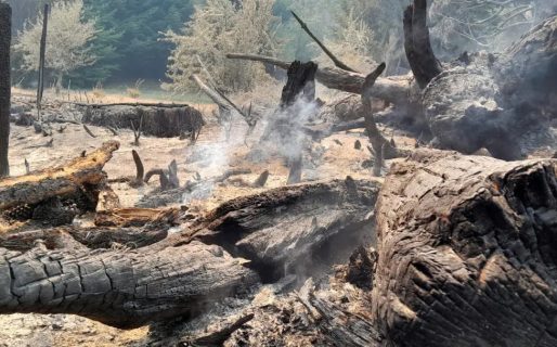 Confirman una víctima fatal a raíz del incendio en Mallín Ahogado