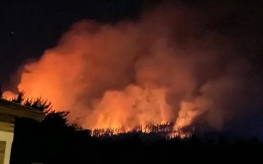 Declararon 6 focos ígneos en la zona de El Pedregoso: «Claramente es intencional»