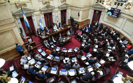 Senado: reaparece la disputa por el presupuesto universitario