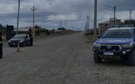 Encontraron a un nene de 13 años y su perro muertos por monóxido de carbono
