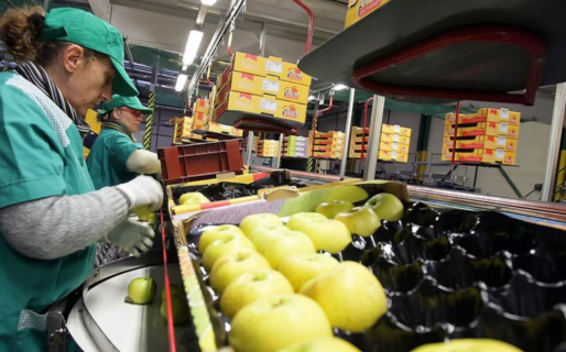 Los analistas estiman que la economía creció en enero, pero alertan que hay sectores que no logran recuperarse