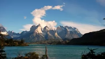 Hallazgo inédito en la Patagonia: descubrieron el dinosaurio que rinde homenaje a la ciencia argentina