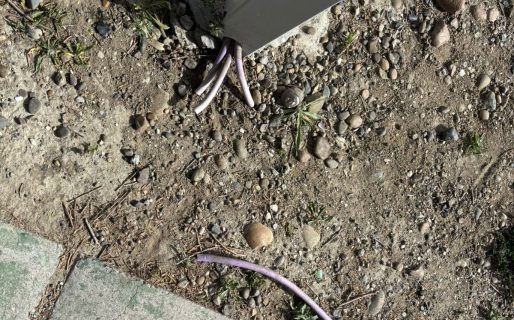 <strong>Robo de cables, un delito que va en aumento: En lo que va del año ya sustrajeron 3200 metros </strong>