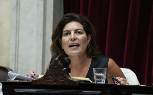 Ana Clara Romero: “Hemos sido víctimas de la desidia de años”