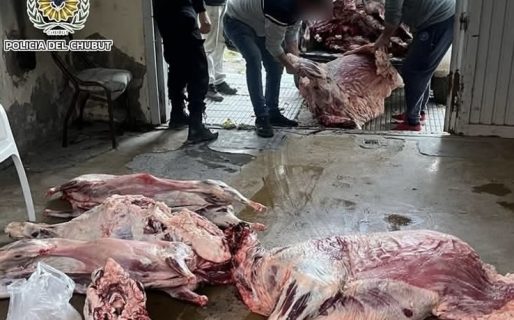 Lo detuvieron en una camioneta con un ternero y 20 capones faenados sin habilitación