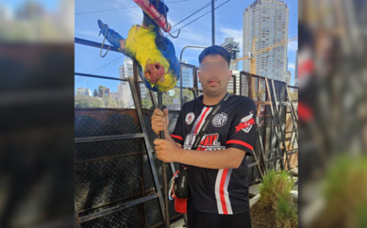 Demoraron a un hincha de River que llevaba una cabeza de chancho con los colores de Boca en la previa del Superclásico