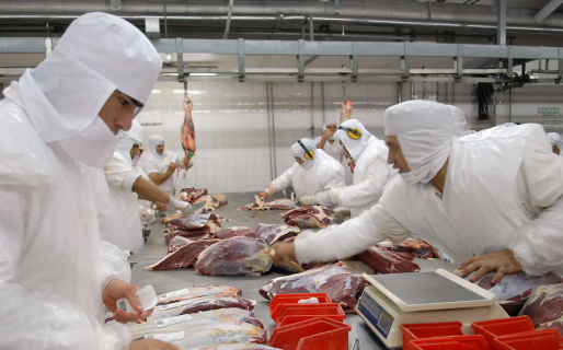 Productores patagónicos piden garantías antes de modificar la barrera contra la aftosa