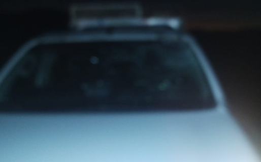 Accidente vehicular en Ruta Provincial N° 39: una camioneta colisionó con un caballo suelto