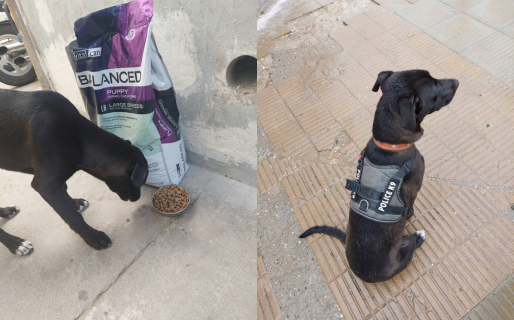 Apareció Sheriff: «Gracias a todos los que nos ayudaron»