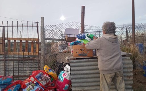 Donaron más de 500 kilos de alimento para perros rescatados