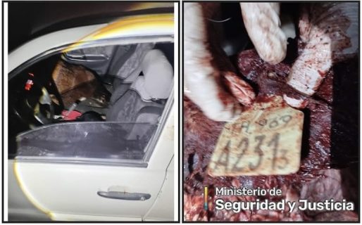 Llevaban animales faenados en el auto y quisieron escapar de la policía: eran robados