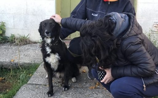 La Negrita fue adoptada: una historia de pérdida, solidaridad y un nuevo comienzo