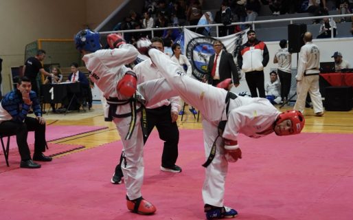 Taekwondo ITF: Exitosa edición de la Copa Islas Malvinas en el Municipal 1