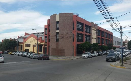 Campaña solidaria: estudiantes recolectan alimentos para ayudar a perros callejeros