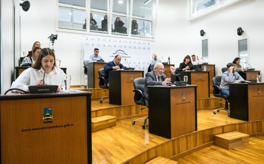 Al filo del plazo, aprobaron la prórroga del transporte público en Comodoro