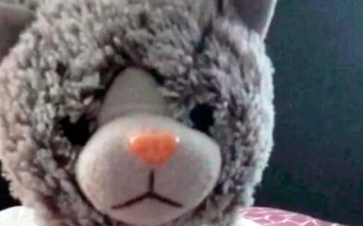Una familia fue extorsionada para recuperar el peluche de su hijo con autismo: le hicieron pagar $ 200 mil