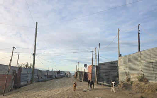Vecinos de El Cerrito denuncian abandono total: “Vivimos con miedo, no podemos dejar nuestras casas solas”