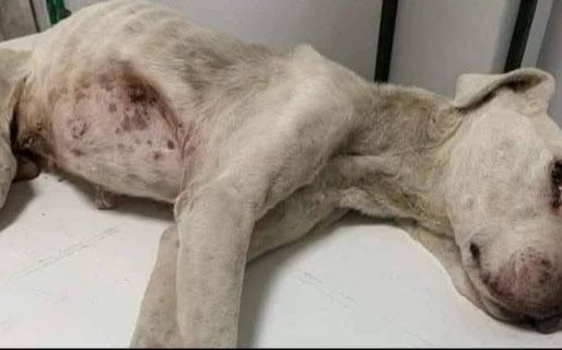 A dos años de la muerte de Duque: el recuerdo que sigue doliendo y la lucha que no termina