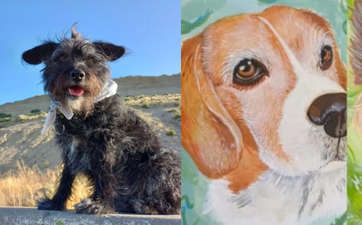 Una joven vende cuadros pintados a mano para reunir fondos para el tratamiento de su mascota