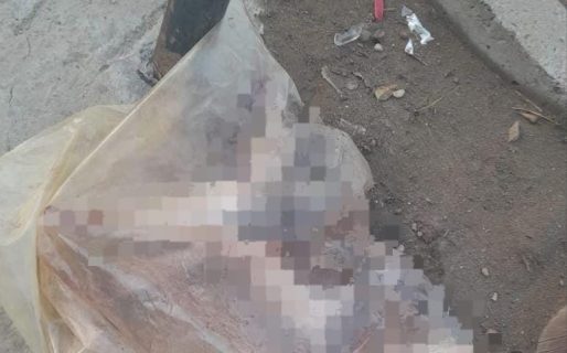 <strong>Urgente: denuncian caso de maltrato animal en Comodoro</strong>