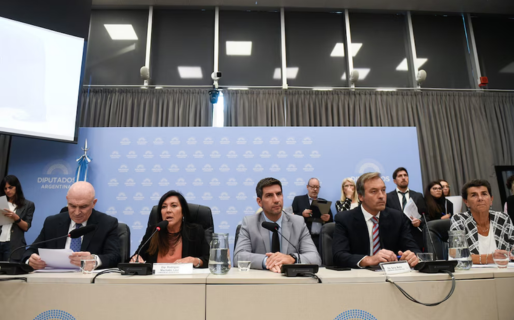 Obtuvo dictamen en Diputados el proyecto para bajar la edad de imputabilidad a los 14 años