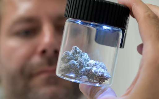 Nuevo Reprocann: el Gobierno modificó los requisitos para el uso y el cultivo de cannabis medicinal de personas y organizaciones civiles