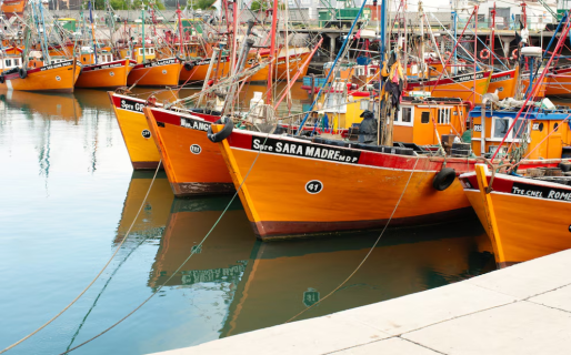 Langostinos: la economía regional que más exporta, atravesada por conflictos y ante un “deterioro estructural”