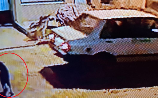 Denuncian que una persona descartó un perro como si fuera basura en Palazzo