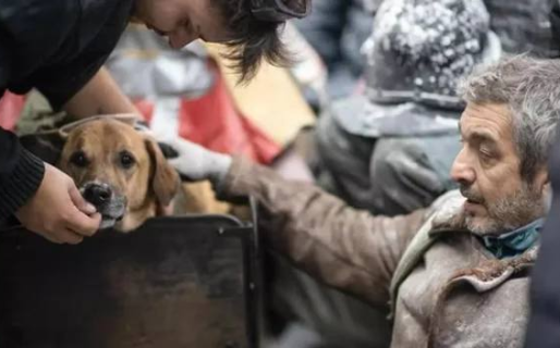 La historia de Puelo, el perro chubutense que actuó en El Eternauta y conquistó a Ricardo Darín