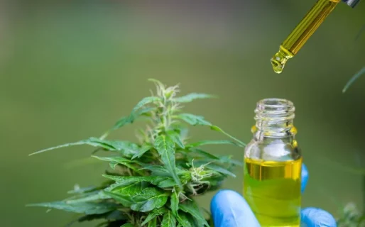 El Gobierno modificó los requisitos para acceder al cannabis medicinal