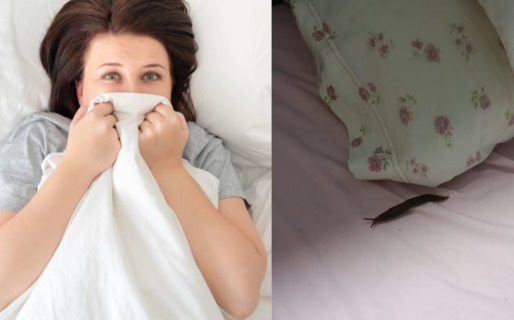 Una joven se acostó a dormir la siesta, despertó después de horas y lo que vio a su lado fue asqueroso