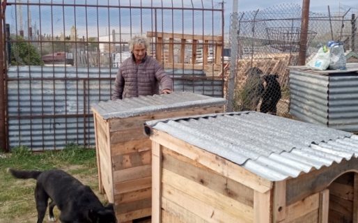 Entregaron cuchas para los perritos de Oscar gracias a una colecta solidaria