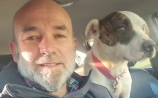 La perrita rescatada del Cerro Chenque ya está en su nuevo hogar