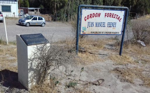 Alerta por estafas con tierras públicas en Comodoro: denuncian falsificación de actas