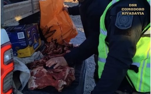 Transportaban carne de guanaco sin permiso y fueron detectados en control rural