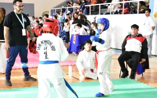 Con más de 300 competidores se desarrolló la V edición de la Copa de Taekwondo ITF