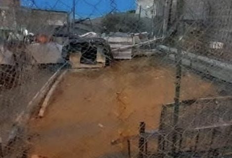 Vecinos piden ayuda para evitar que un perro se escape en Palazzo