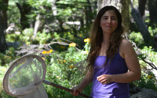 De Bariloche al mundo: la bióloga argentina que protege a los polinizadores y desafía al sistema científico