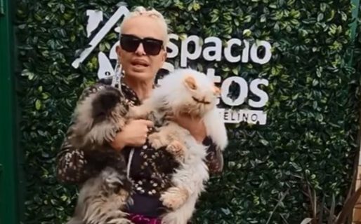 Daniela Cardone contó que tiene a seis gatos embalsamados en su habitación: “Cada uno tiene su estante”
