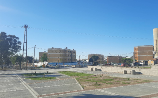 «Una falta de humanidad»: indignación por picadas y la muerte de un perro en Pueyrredón