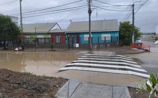 Bustamante: “Hay lomos de burro que parecen de dinosaurio por el tamaño desproporcionado que tienen”