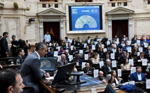 La Cámara de Diputados aprobó la ley de emergencia en discapacidad