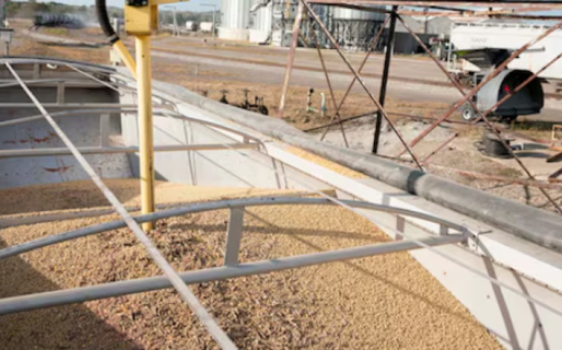 China compró harina de soja argentina por primera vez en la historia