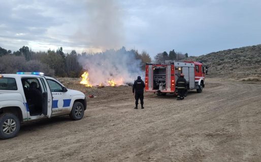 Bomberos sofocaron un incendio de pastizales en el barrio Cordón Forestal