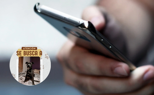 Pagaron para recuperar a su mascota y el delincuente volvió a llevársela para pedir más dinero