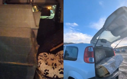 Vecinos donaron mantas, camas, abrigos y cuchas para proteger a perros callejeros del frío